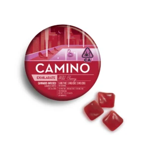 Camino Wild Cherry CBG Exhilarate Gummies